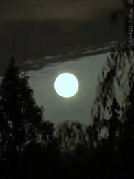 許妳盛焰 - Episode 51