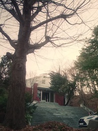 The Tyrant's Bride-to-be - Episode 34