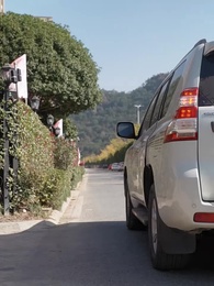 第29集 - 甜蜜婚寵：殘疾大佬夜夜撩