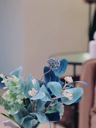 第95集 - 顧總,太太又去男科給你掛號了