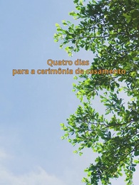 Episódio 8 - De joelhos sob o luar