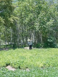 Beyond Greendale, Memories Return - Episode 2