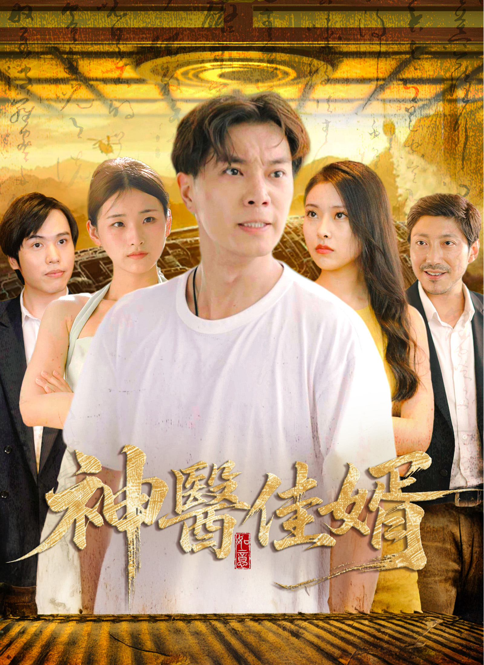 《神醫佳婿》封面