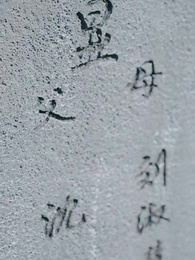 第74集 - 江少請少愛我壹點