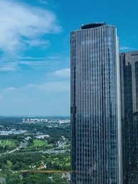 第87集 - 神醫佳婿