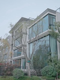 第99集 - 江少請少愛我壹點