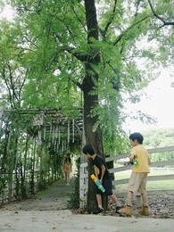 第59集 - 壹胎雙寶：媽咪妳馬甲掉了