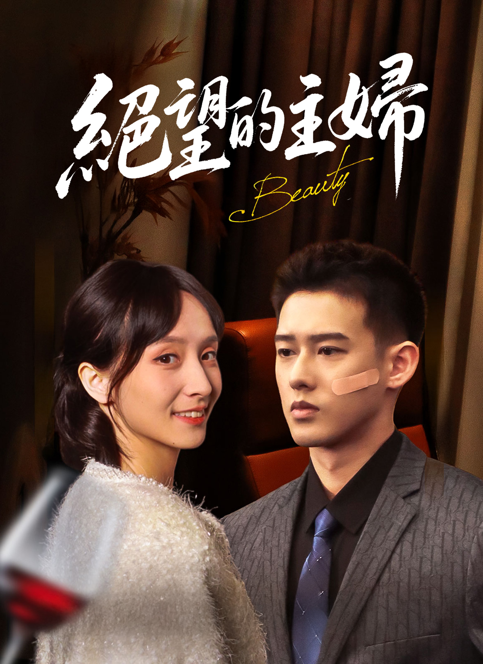 《絕望的主婦》封面