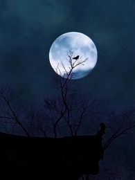 복수의 귀향 - Episode 1