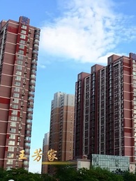 第60集 - 神醫佳婿