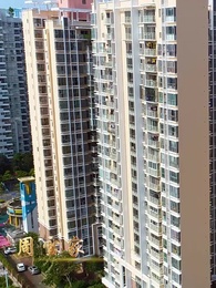 第53集 - 神醫佳婿