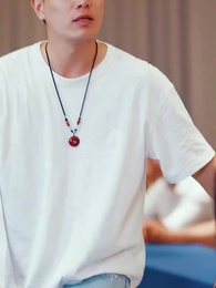 第19集 - 神醫佳婿