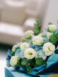 第37集 - 壹胎雙寶：媽咪妳馬甲掉了