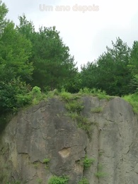 Abandonada pelo "Filho", Abraçada pelo Neto - Episode 2