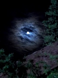 浴火狂龍 - Episode 84