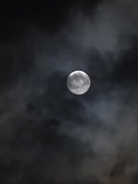 第31集 - 絕望的主婦