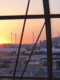 第41集 - 絕望的主婦