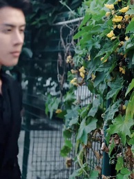 壹胎雙寶：媽咪妳馬甲掉了 - Episode 6