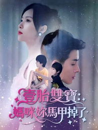 壹胎雙寶:媽咪妳馬甲掉了