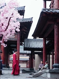 17화 - 달빛낮화