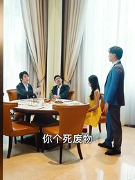 神醫佳婿 - Episode 84