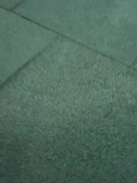 The Invincible Bodyguard - Episode 2