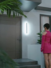 第64集 - 壹胎雙寶：媽咪妳馬甲掉了