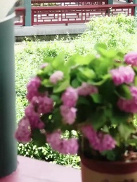 ทั้งวังแอบฟังหัวใจฉันถูกไล่ล่ารัก - Episode 23