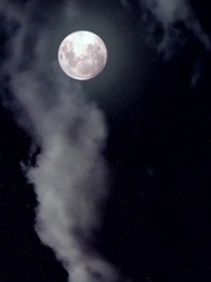 第1集 - 總裁快跑！您的夫人竟是公主殿下