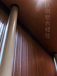 第7集 - 壹胎雙寶：媽咪妳馬甲掉了