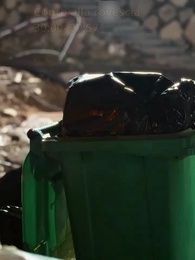 Episodio 14 - All’arrivo della primavera