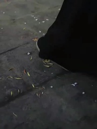 Tập 46 - Toàn Phủ Nghe Thấu Tiếng Lòng, Tôi Được Cưng Chiều