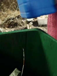 Episodio 11 - All’arrivo della primavera