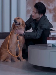 第41集 - 閃婚大叔是爹地