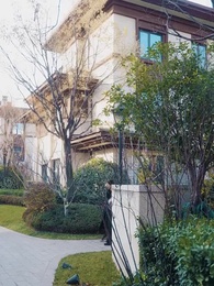 閃婚大叔是爹地 - Episode 79