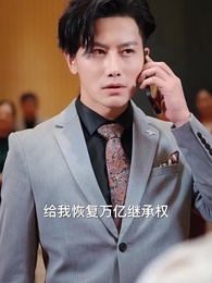 第17集 - 壹手遮天