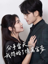 分手當天，我閃婚了億萬富豪