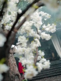 When Fate Comes to an End - Episode 41