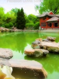 Episodio 32 - El Príncipe Magnífico