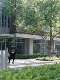 Episode 37 - Rebirth: The Green Plum of Culinary Deception