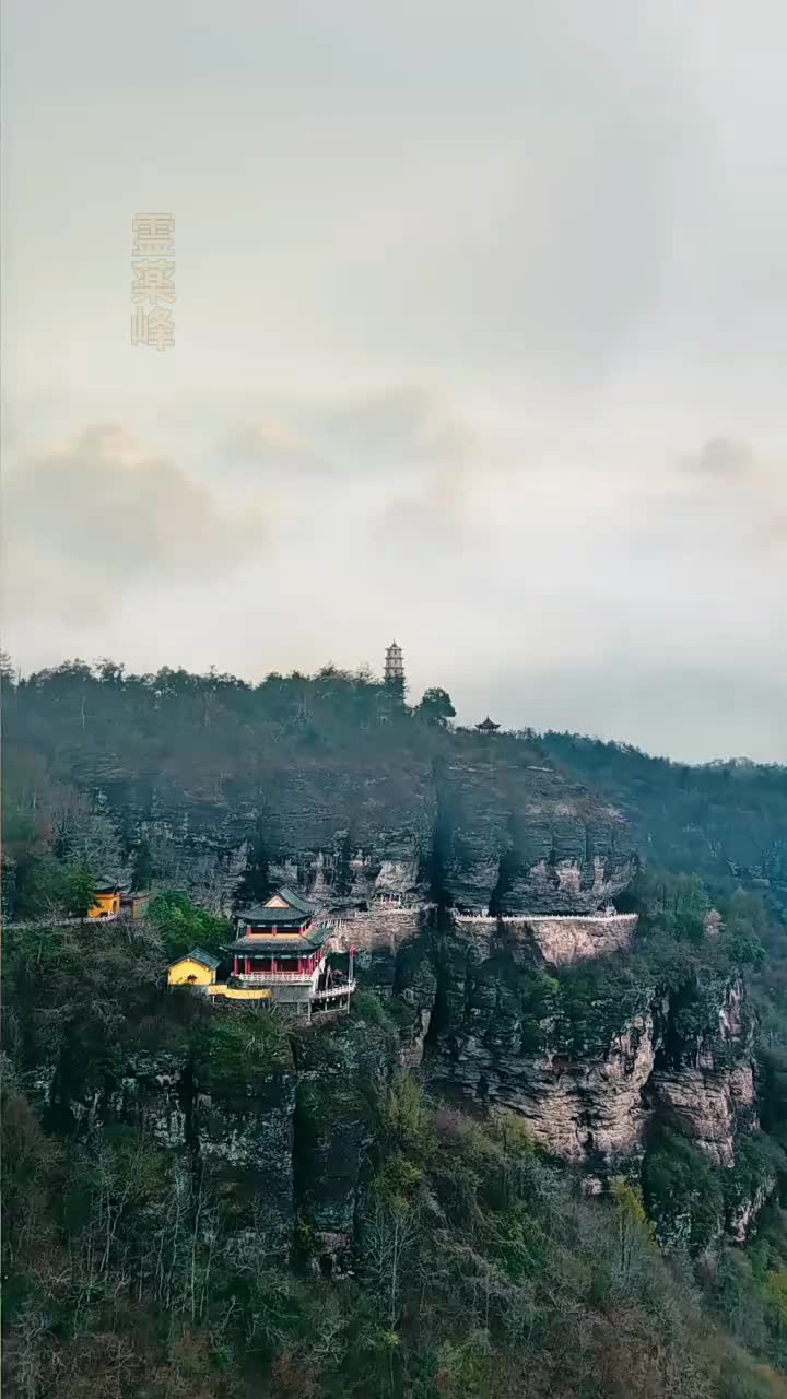 视频封面