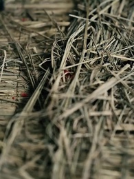 Tập 64 - Phu Nhân Nghịch Thiên