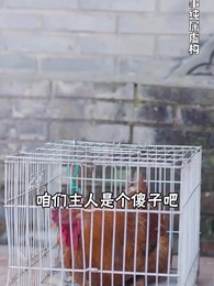 絕世雜貨鋪 - Episode 8