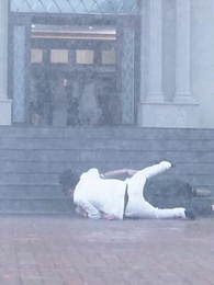 Rebirth: The Green Plum of Culinary Deception - Episode 27