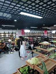 Rebirth: The Green Plum of Culinary Deception - Episode 32