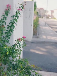 帶著財閥去打工 - Episode 97