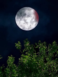 醫仙渡世 - Episode 59