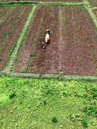 Episode 62 - Mein Großmeister-Vater bestimmt die Welt