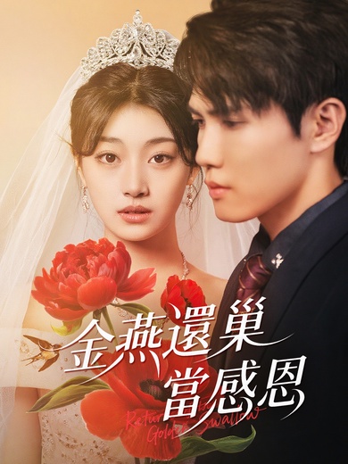 金燕還巢當感恩