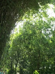 54화 - [더빙 버전]이룰 수 없는 사랑